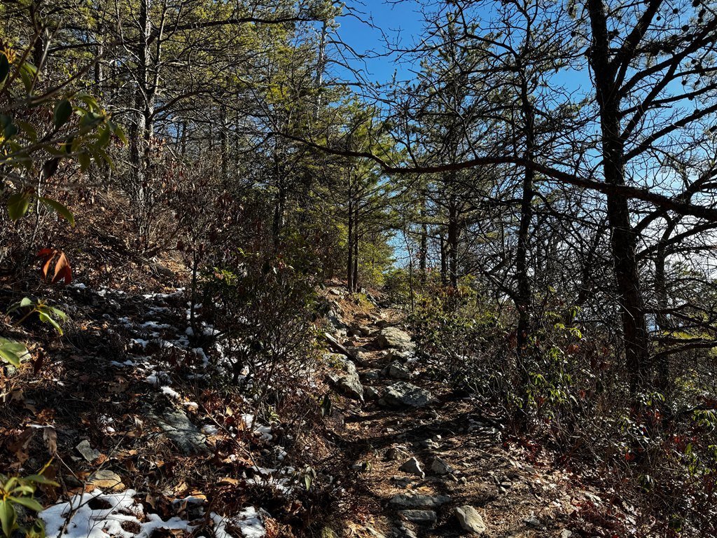 Typical condition of the Massanutten Trail