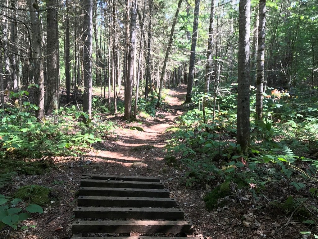 Typical trail