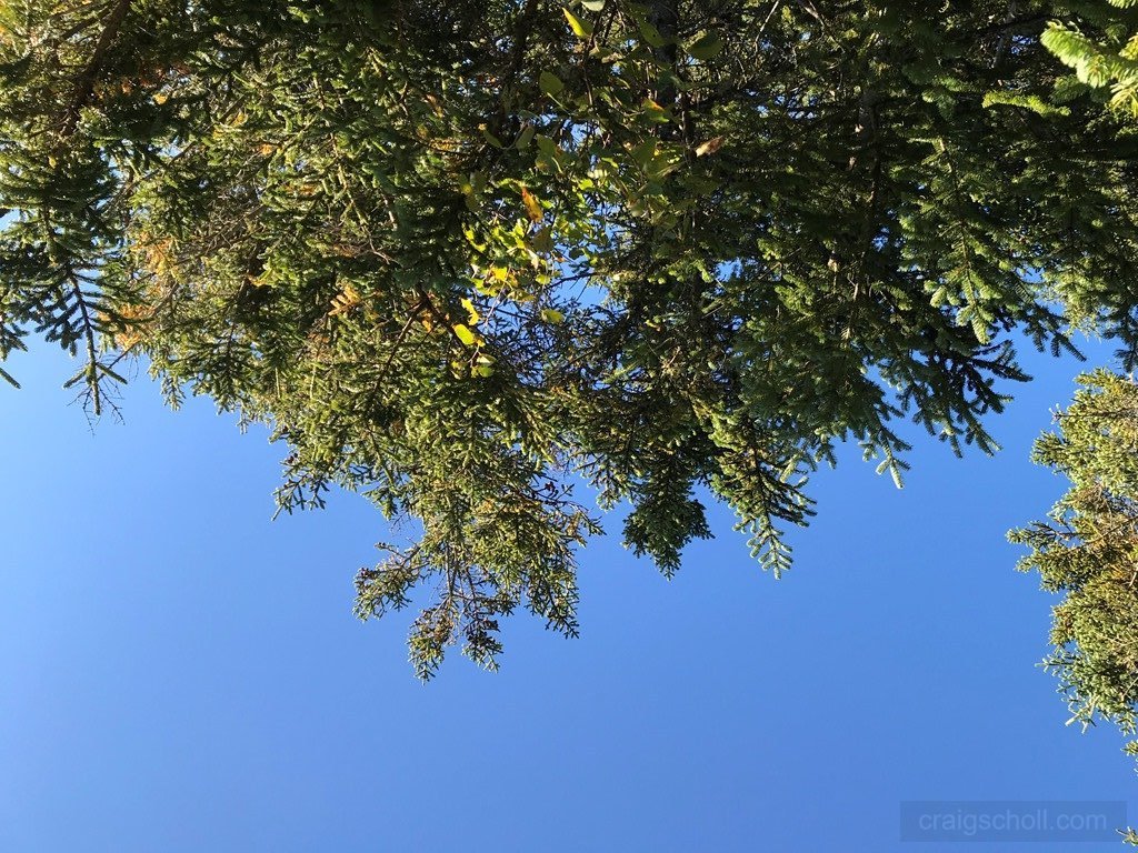 View from balanced rocks