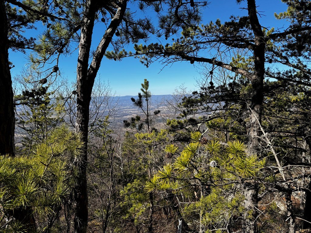 View from lookout
