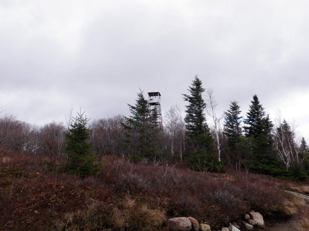 View of tower, from the ledge