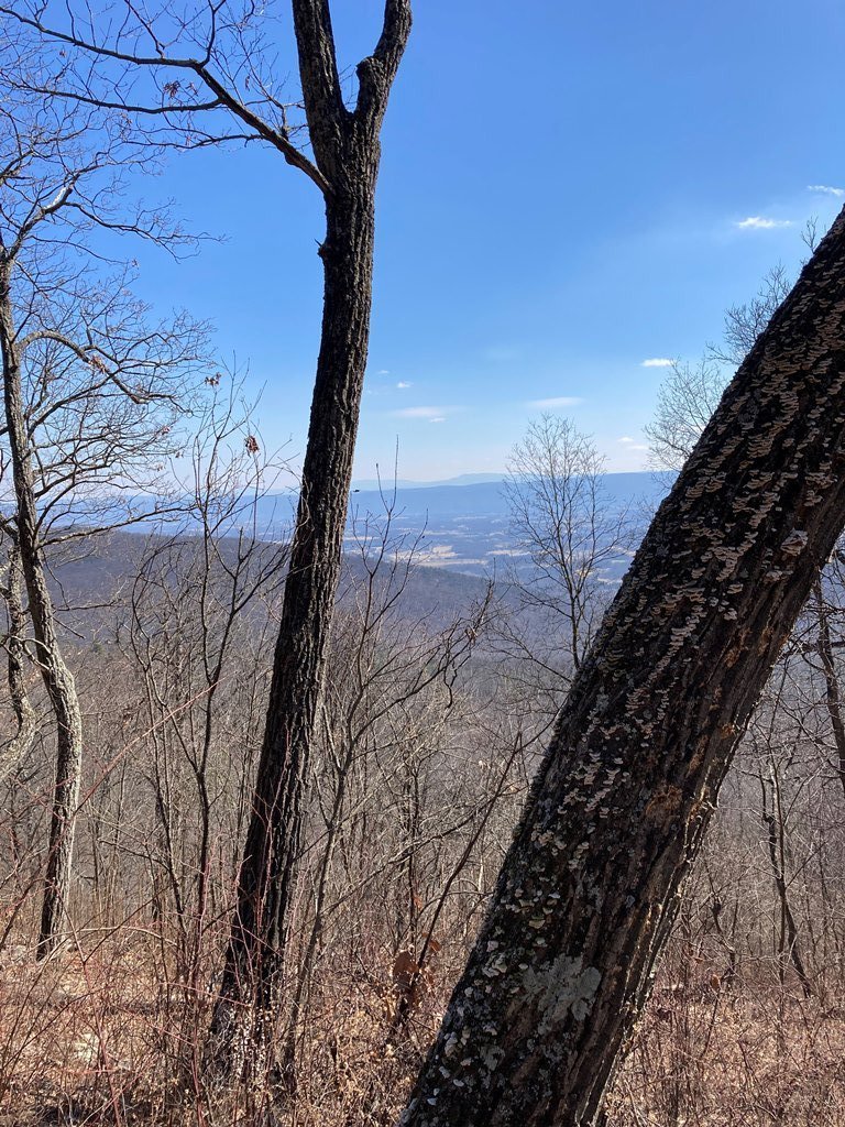 Views are getting better.