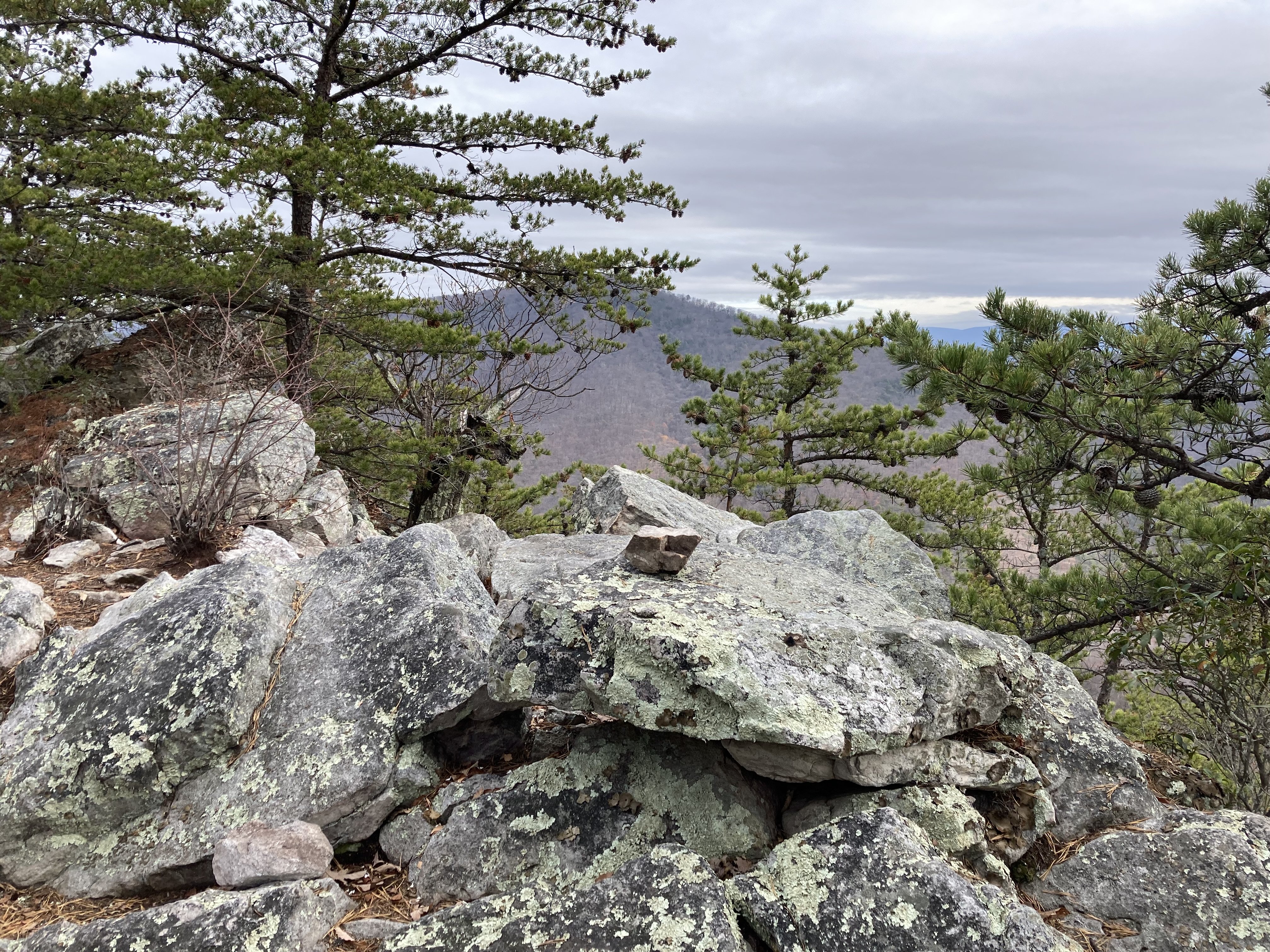 Views from the ridge