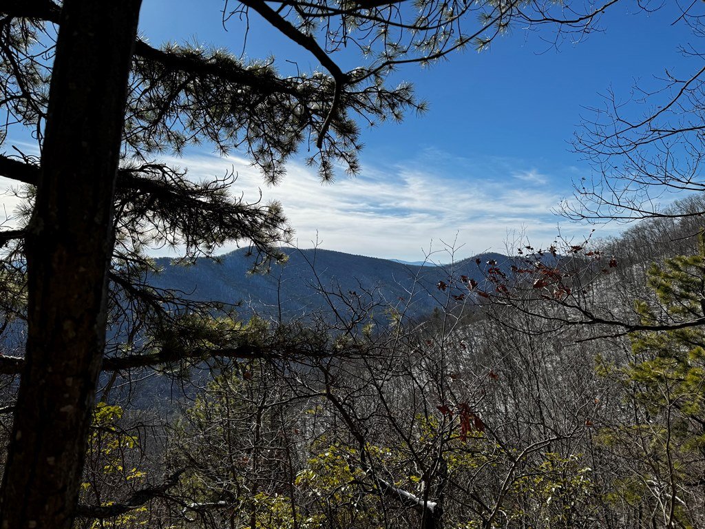 Views of the valley looking south