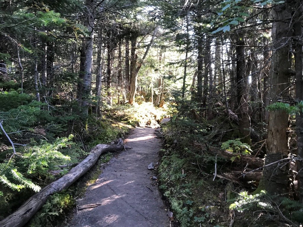 Walking down the ridge