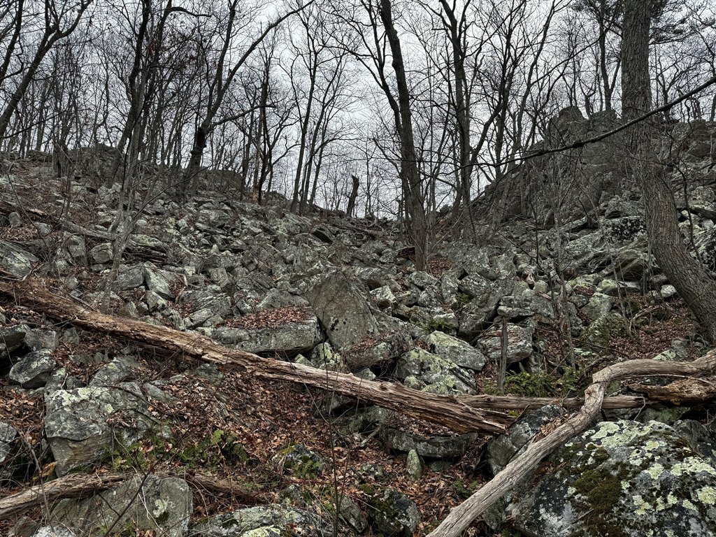 What I believe is glacial till