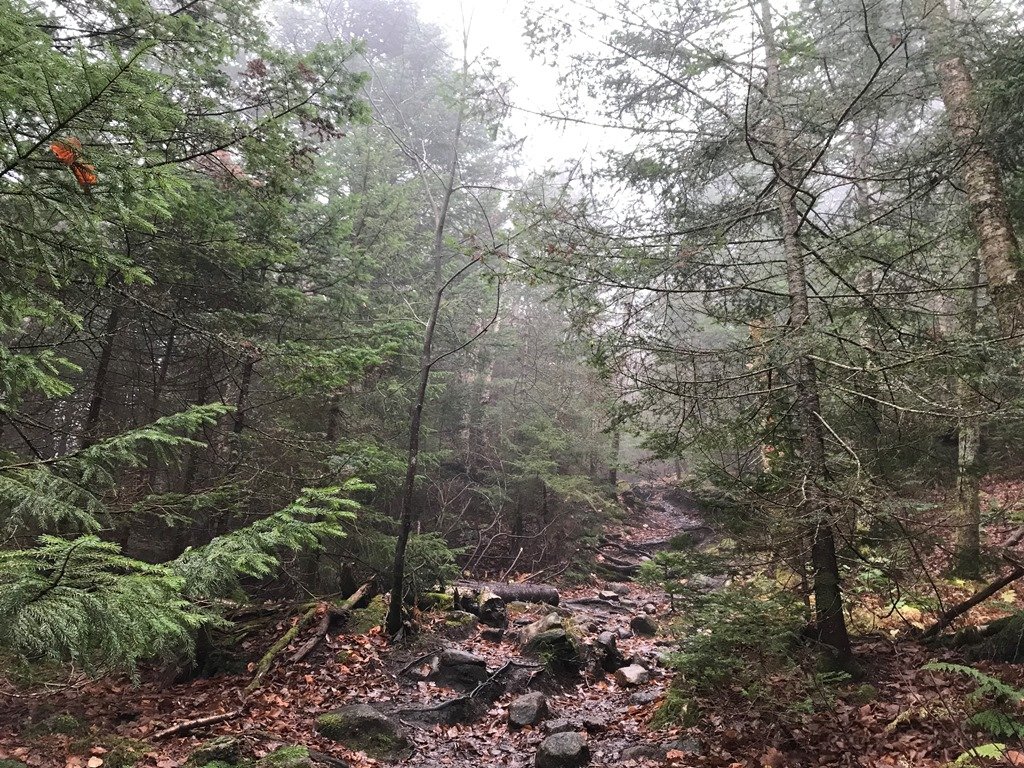 What most of the trail is like