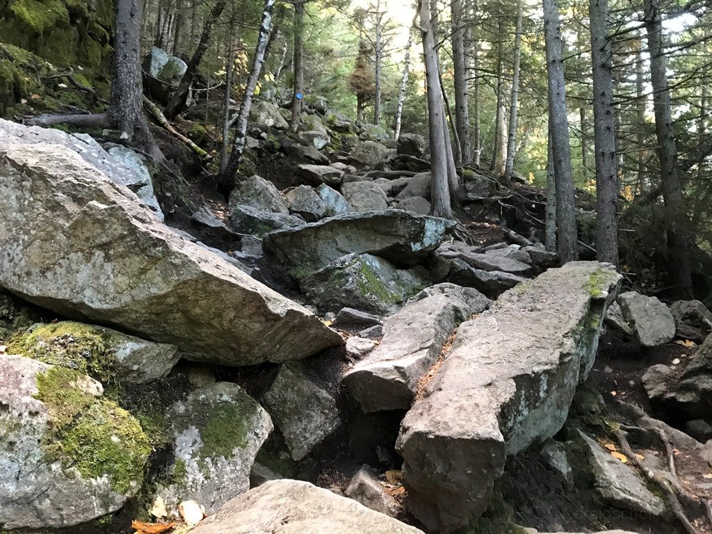 You like rocks, we got rocks